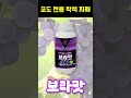 포도 전용 착색 자재 ‘보라맛’ 🍇당도 품질향상 과채 과실 영양 환경스트레스 저항성 포도 영양제 보라맛 shorts shortvideo grape vine fruit