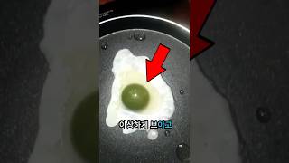 계란 노른자가 녹색이 되는 이유는 무엇인가요?😨⁉️