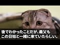 【スカッとする話】私を追い出したいびり姑「医者の息子に寄生はさせない！出ていけ！」しかし夫「俺は嫁と暮らす」義父「俺もついてくぞ」→一人になった姑の末路がｗ【修羅場】