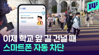 “횡단보도에서 스마트폰 막힌다” 알아서 안전 지켜주는 부산 ‘횡단보도’ / 14F