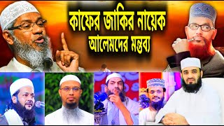 জাকির নায়েক কাফের | আলেমদের মন্তব্য | Azhari | saidi waz | anayet ullah abbasi | mamunul haque waz