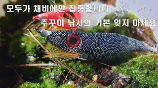 낚킹)주꾸미 낚시.기본이 반이다.필수 입니다.