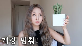 뉴욕에 돌아와 개강을 맞이하는 자세 [ENG]