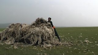 Mongolian Felt Making