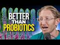 Neuroscientist Reveals How to Repair Gut Health without Probiotics - Dr. Sherr