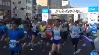 龍馬マラソン2015