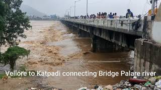 Extreme flooding Vellore Palar river Bridge today #vellore #palarriver@Munna Tailors