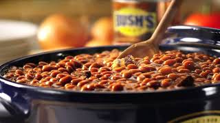 Bush's Baked Beans TV Commercial - Jay and Duke Talking Action Figures