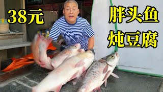 38元胖头鱼炖豆腐！肉质鲜嫩汤靓奶白！老板不亏钱吗？【炊哥不加戏】