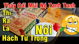 Tập 952 - Thấy Cái Mùi Nó Tanh Tanh, Thì Ra Là Hách Từ Trong Nôi :))