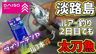 【初心者】8月後半淡路島！テンヤで太刀魚釣り‼️【淡路島釣り】