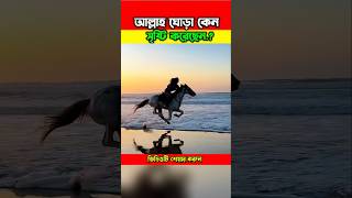 আল্লাহ ঘোড়া কেন সৃষ্টি করেছেন..? #shorts #ytshorts #islamicfacts #islamicvideo