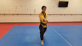 TaeKwondo Basic Form 1- White Belt Form 기본 1장