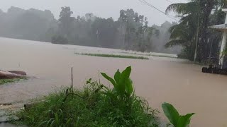 നമ്മളെ  നാട്ടിൽ  വെള്ളം കേറിയപ്പോൾ /flood in  our  village 😒😑muyyam/kannur