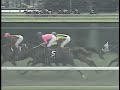 マヤノトップガン 1995年 ロイヤル・香港・ジョッキークラブ・トロフィー 4歳900万下 優勝馬：フェアダンス