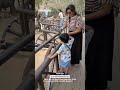 shreya ghoshal with her son visiting elephant kindom sanctuary shreyaghoshal elephant