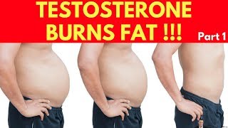 🍽️ Clinically Proven Fact: Testosterone Burns Your Belly Fat Part 1.- by Dr Sam Robbins