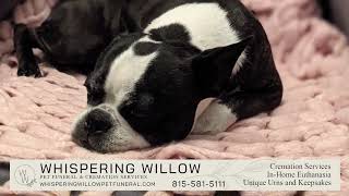 Whispering Willow Pet Funeral & Cremation Services - Story of Bella