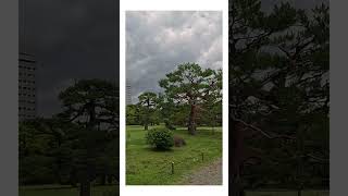 Tokyo Bay Walk（Hama rikyu Gardens⑤）東京湾岸散歩（浜離宮恩賜庭園⑤） #travel #japan #film #wind #garden #flowers