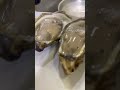 easy way to chucking oysters วิธีแกะหอยนางรมง่ายนิดเดียวสดสะอาด chuck oysters วิธีแกะหอยนางรม