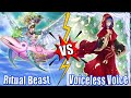 Ritual Beast vs Voiceless Voice - High Rated DB Yu-Gi-Oh! 2024