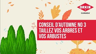 Conseil d'automne no 3 - Taillez vos arbres et vos arbustes | ഓർക്കിൻ കാനഡ