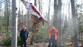 2008 deer skinning with atv   #2