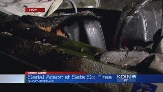 Serial arsonist sets six fires