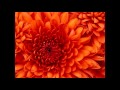112 I Surrender (Interlude)