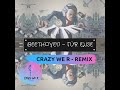 Beethoven - Für Elise (Crazy We R - Remix)