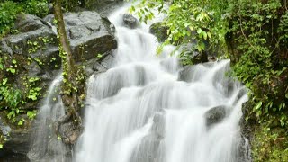 Chullithattu Waterfalls-Chulli , Malom