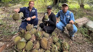 Dapat Hasil Yang Lumayan,Misi Mencari Durian Kampung //Abang Twin Gatal,,,Pertama Kali Masuk Hutan