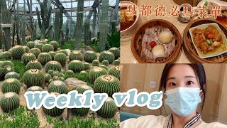 Weekly Vlog| 广州早茶點都德必点菜单｜逛逛华南植物园 被仙人球治愈的一天｜体验国内体检送早餐｜终于见到小柴 #广州早茶#點都德#华南植物园