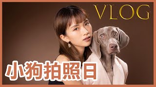 阿福用傻樣迷盡工作人員，Goblin同主人盡顯默契丨趙展彤VAL