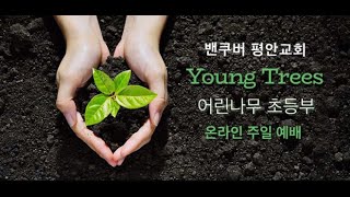 밴쿠버 평안교회 초등부 주일예배영상 (20220130)