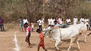 గోకవరం నాలుగుపల్లు 2వ జత