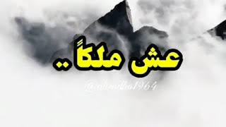 عش ملكاً ..