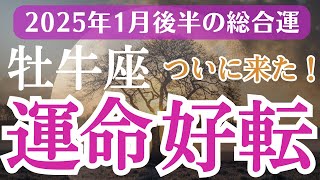 【2025年1月後半の牡牛座の運勢】星とタロットで読み解く恋愛運・金運・健康運・仕事運