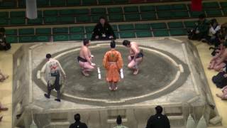 鳴滝-桜富士/大相撲.2017.1.20/narutaki-sakurafuji/day13 #sumo