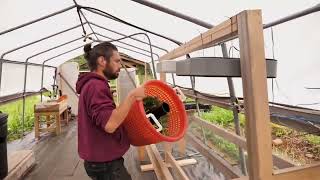 Smart Harvesting at Tea Creek Farm