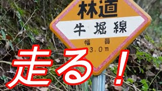 千葉県市原市の林道「牛堀線」を走って…？　　Running on the forest road \