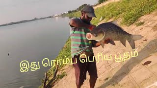 இது மீனு இல்ல பெரிய பூதம் 😱🫣😱🫣😱🫣#fishingvideo #fishing #love #love