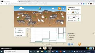 Natural selection lab video PHET