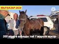 ЖЫЛҚЫ СИЫР ҚОЙ БАҒАСЫ АБАЙ МАЛ БАЗАРЫ МАЛ БАЗАР 2024 livestock market