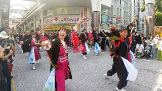 よさこい鳴子踊り特別演舞が開幕　高知