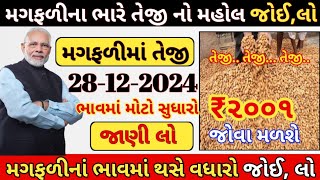 મગફળીના ભાવ હવે ટકે ?, ચેતી જજો મગફળીની તેજીથી,કપાસના ભાવ magfali na bhav, aaj na magfali na bhav,