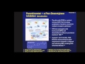 Multiple Myeloma Symposium: Future of Treatment | Dana-Farber Cancer Institute