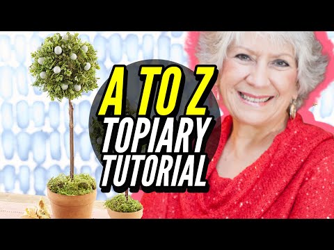 Learn To Make a Topiary With Nancy Learn To Make a Topiary With Nancy