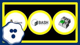 Why does Ctrl + V not paste in Bash (Linux shell)?