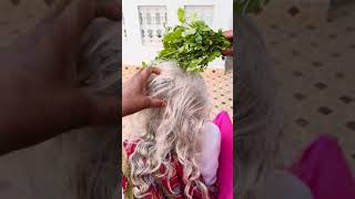 गाँव में सफ़ेद बालों को ऐसे किया जाता है नेचुरल तरीक़े से काला | Latest Black Hair Tips